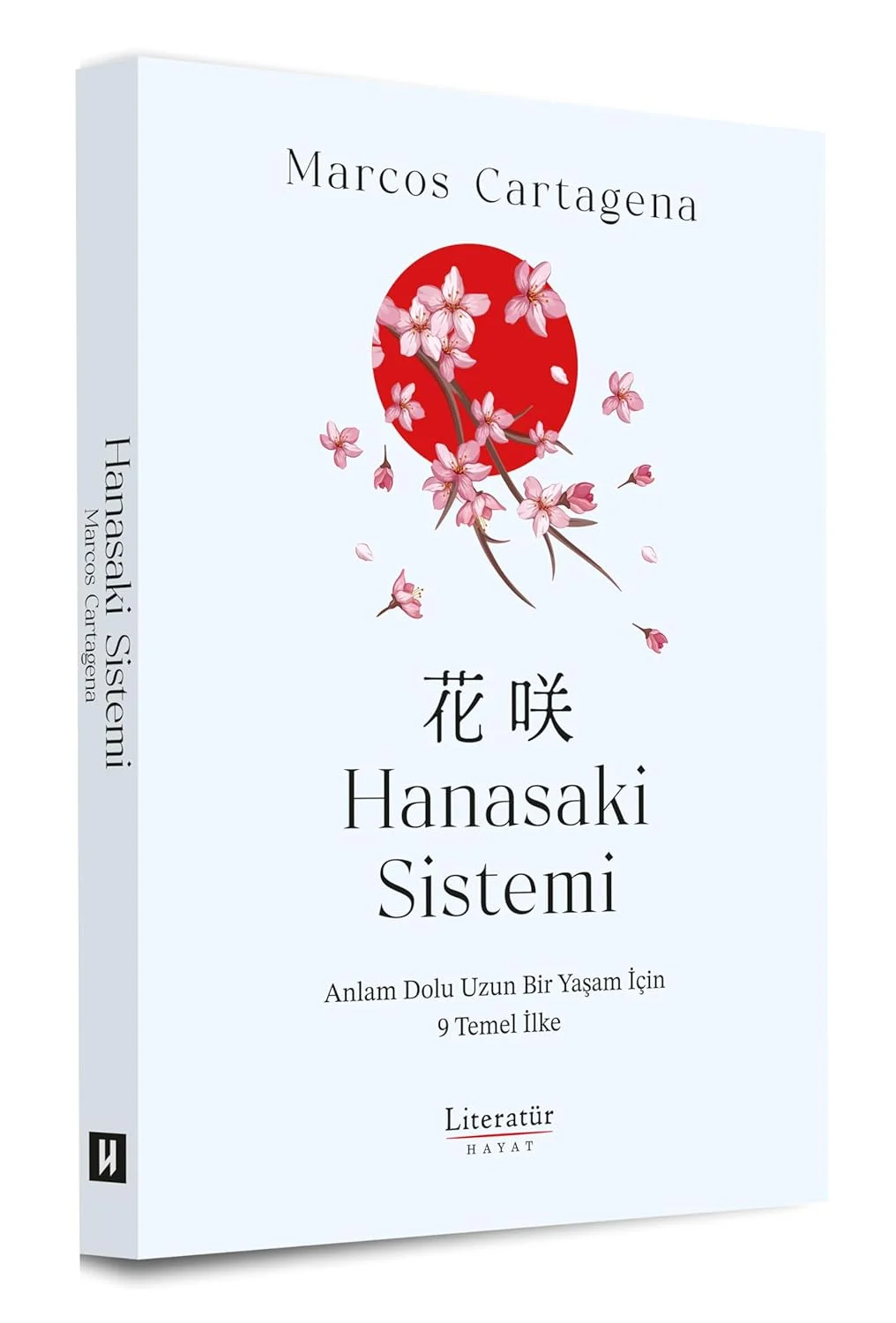 Hanasaki Sistemi
