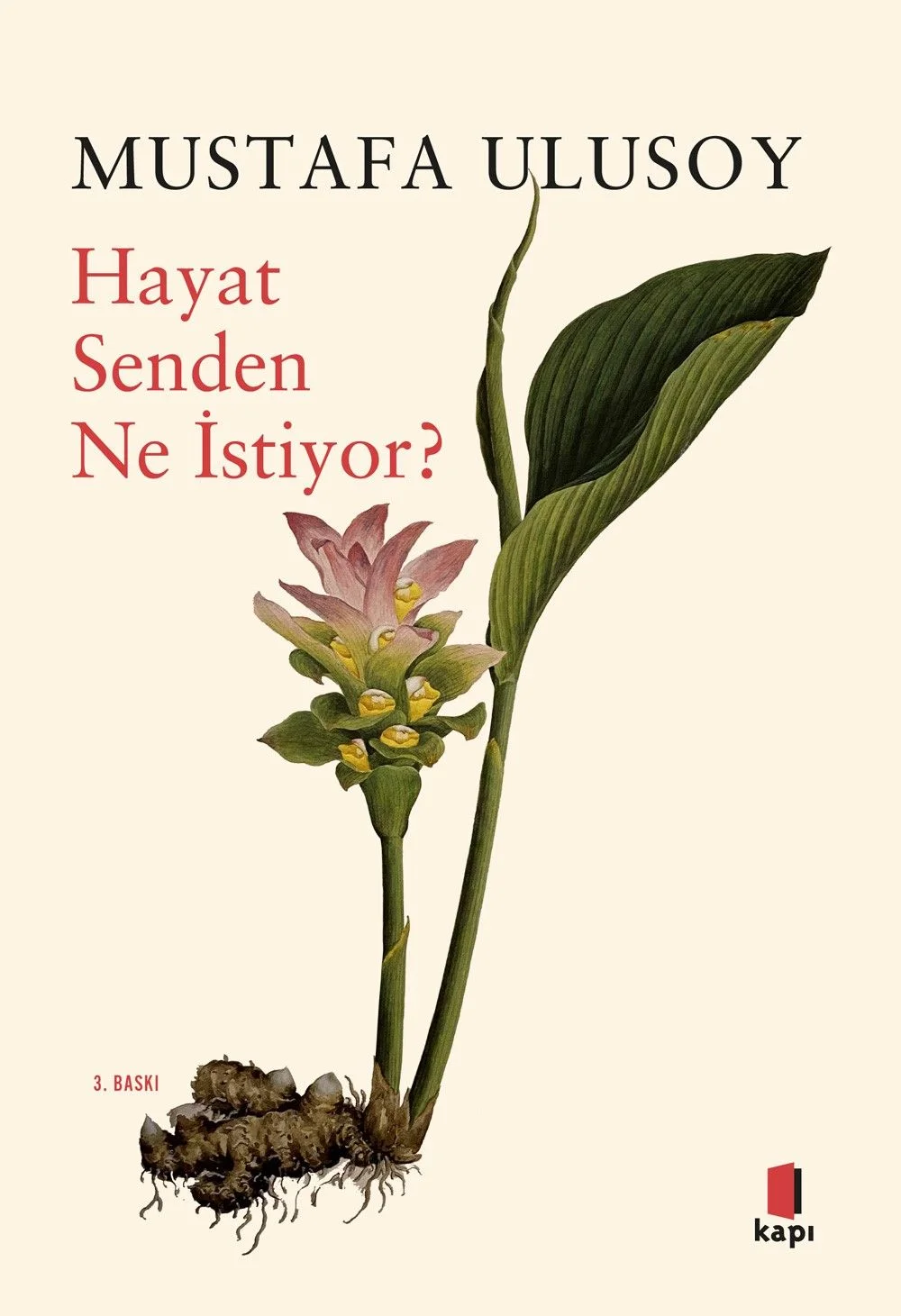 Hayat Senden Ne İstiyor?