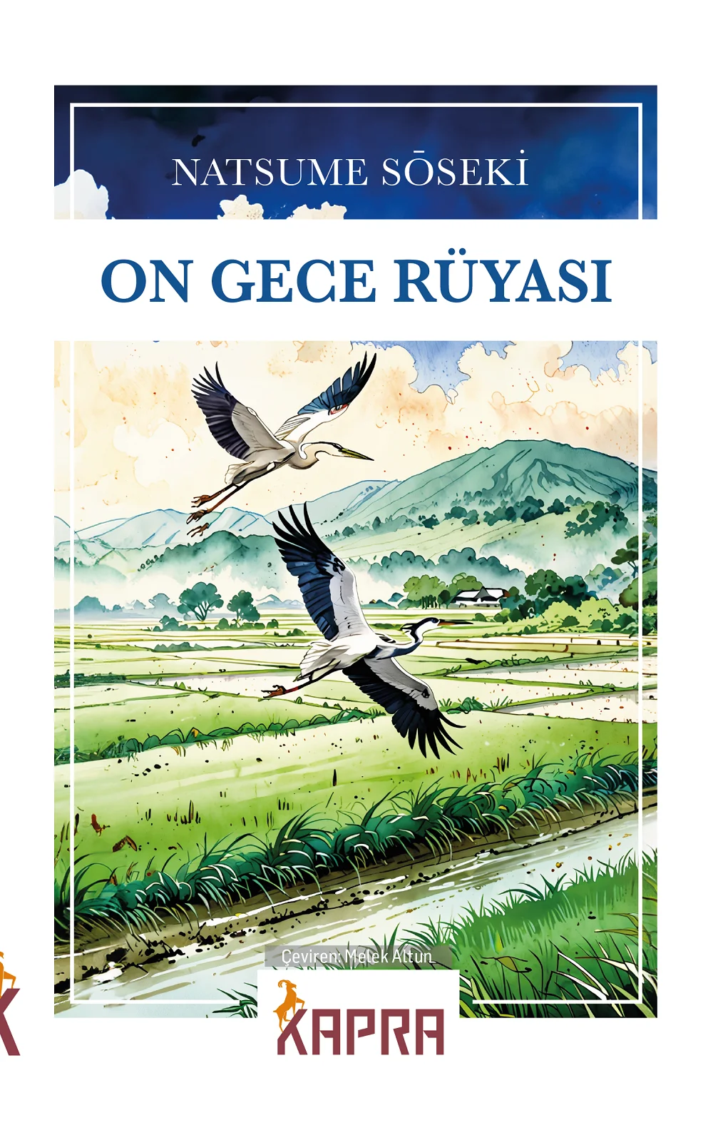 On Gece Rüyası