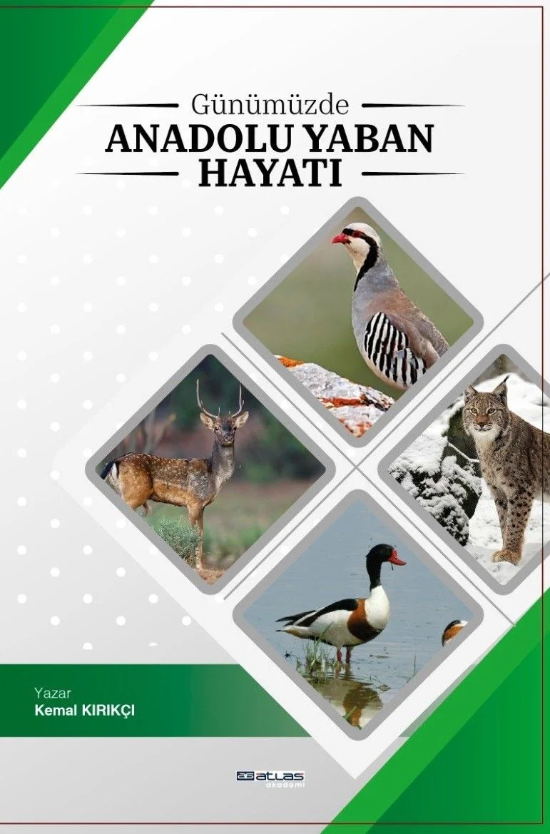 Günümüzde Anadoluda Yaban Hayatı