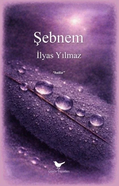 Şebnem
