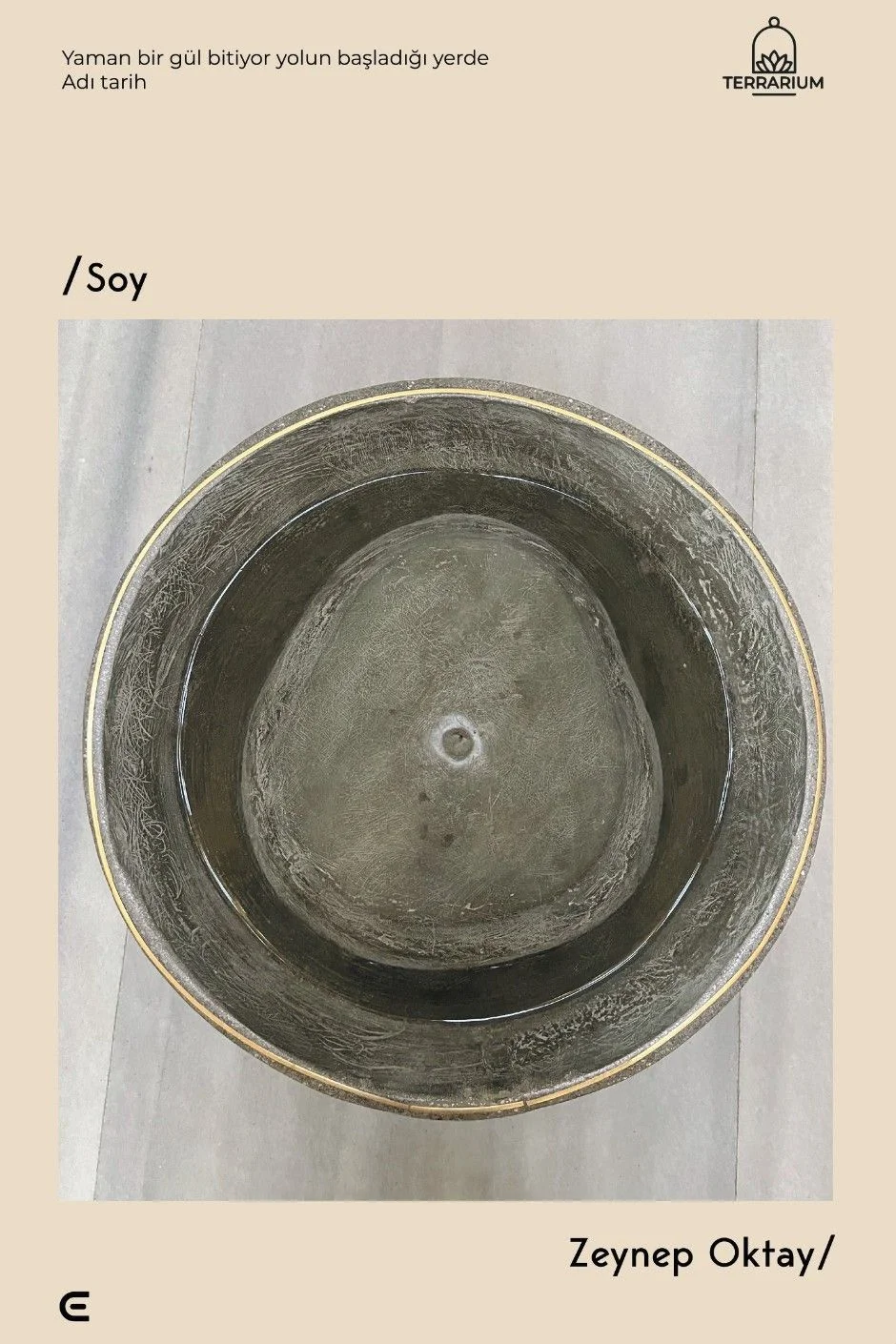Soy