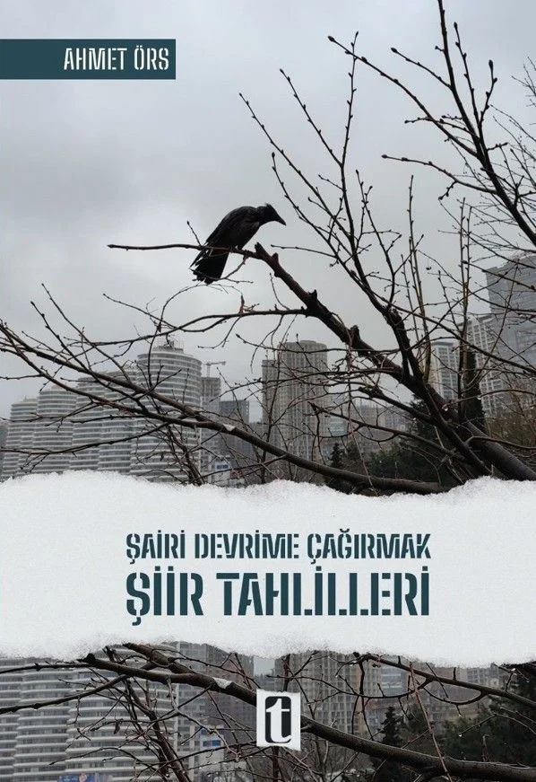 Şairi Devrime Çağırmak Şiir Tahlilleri