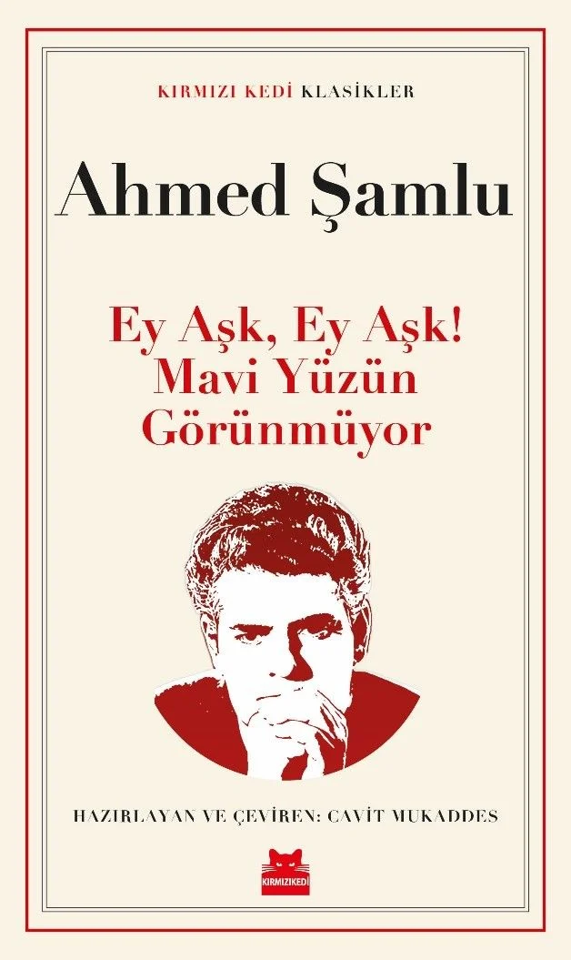 Ey Aşk, Ey Aşk! Mavi Yüzün Görünmüyor