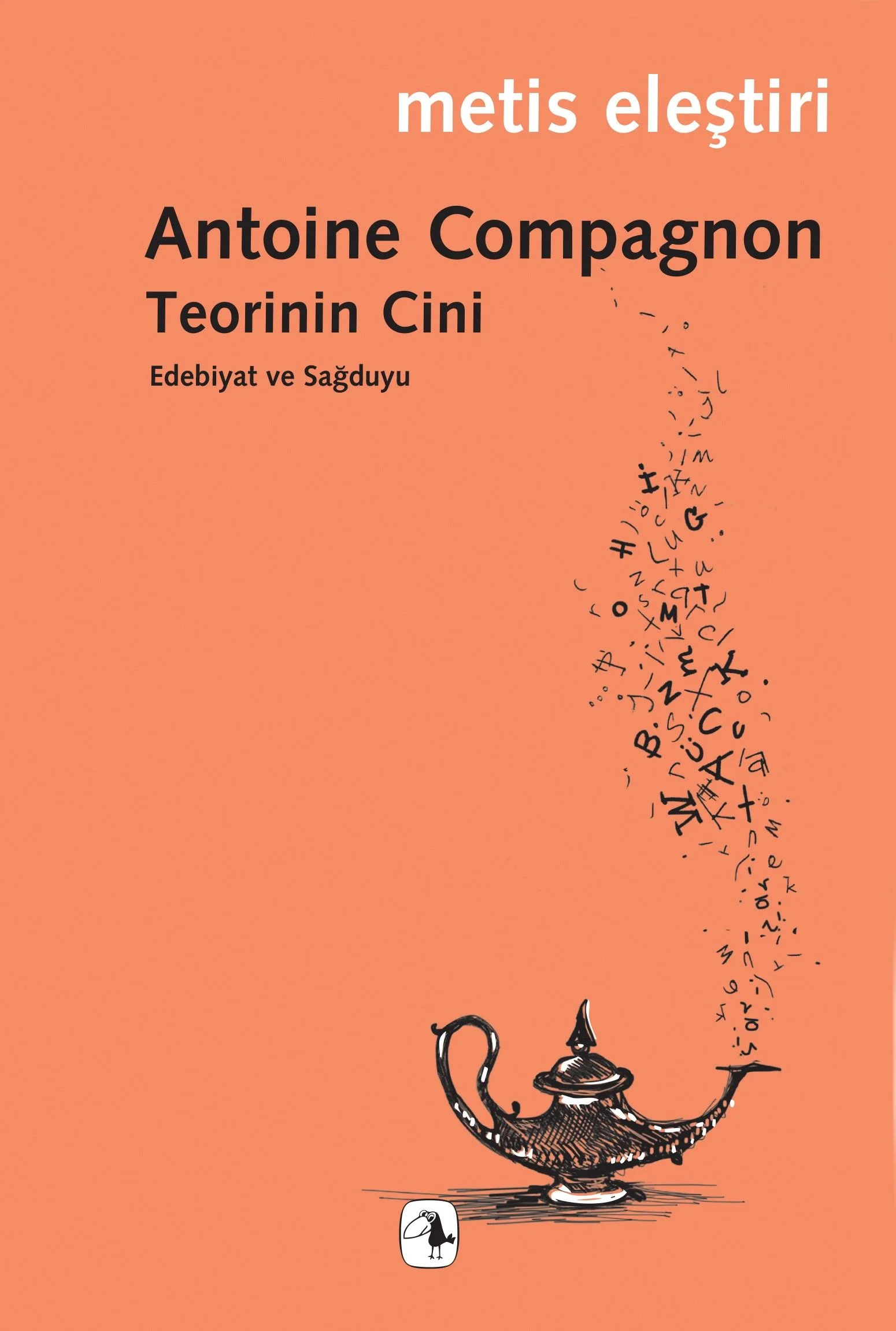 Teorinin Cini Edebiyat ve Sağduyu