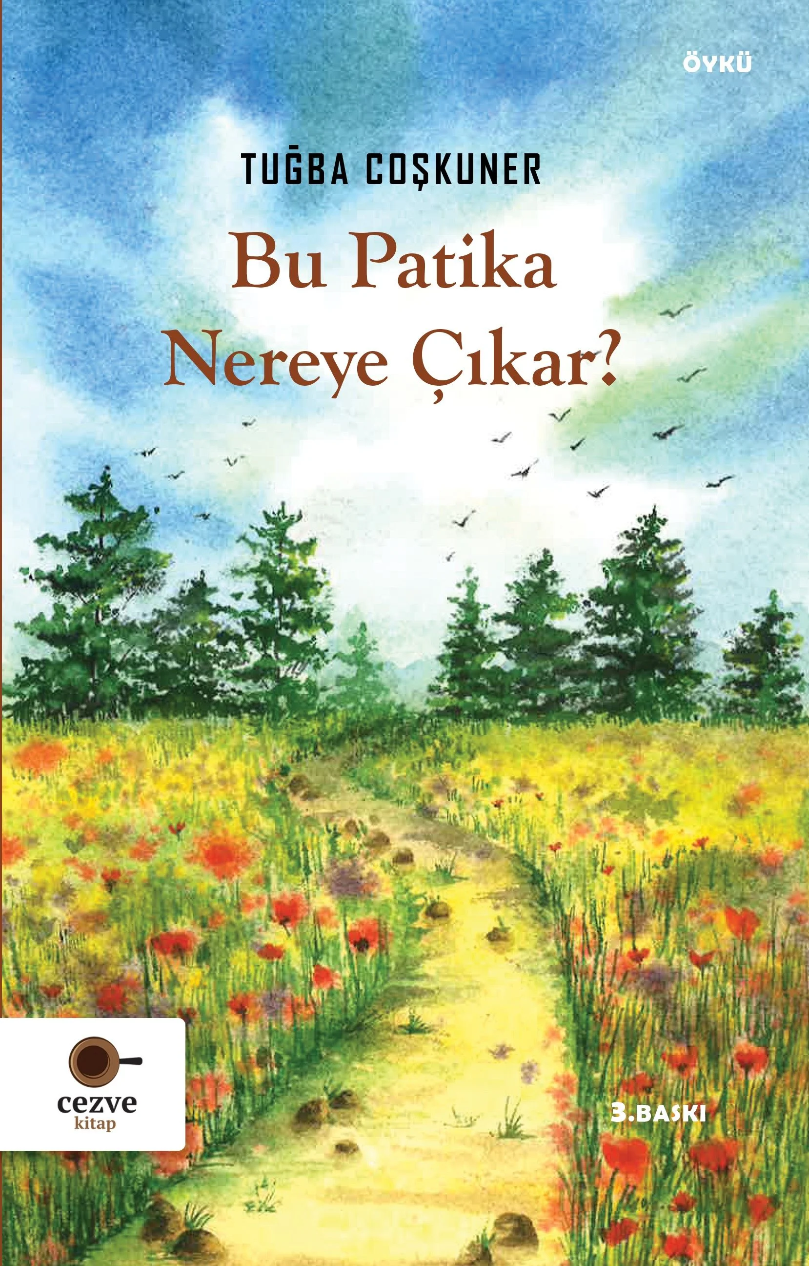 Bu Patika Nereye Çıkar ?