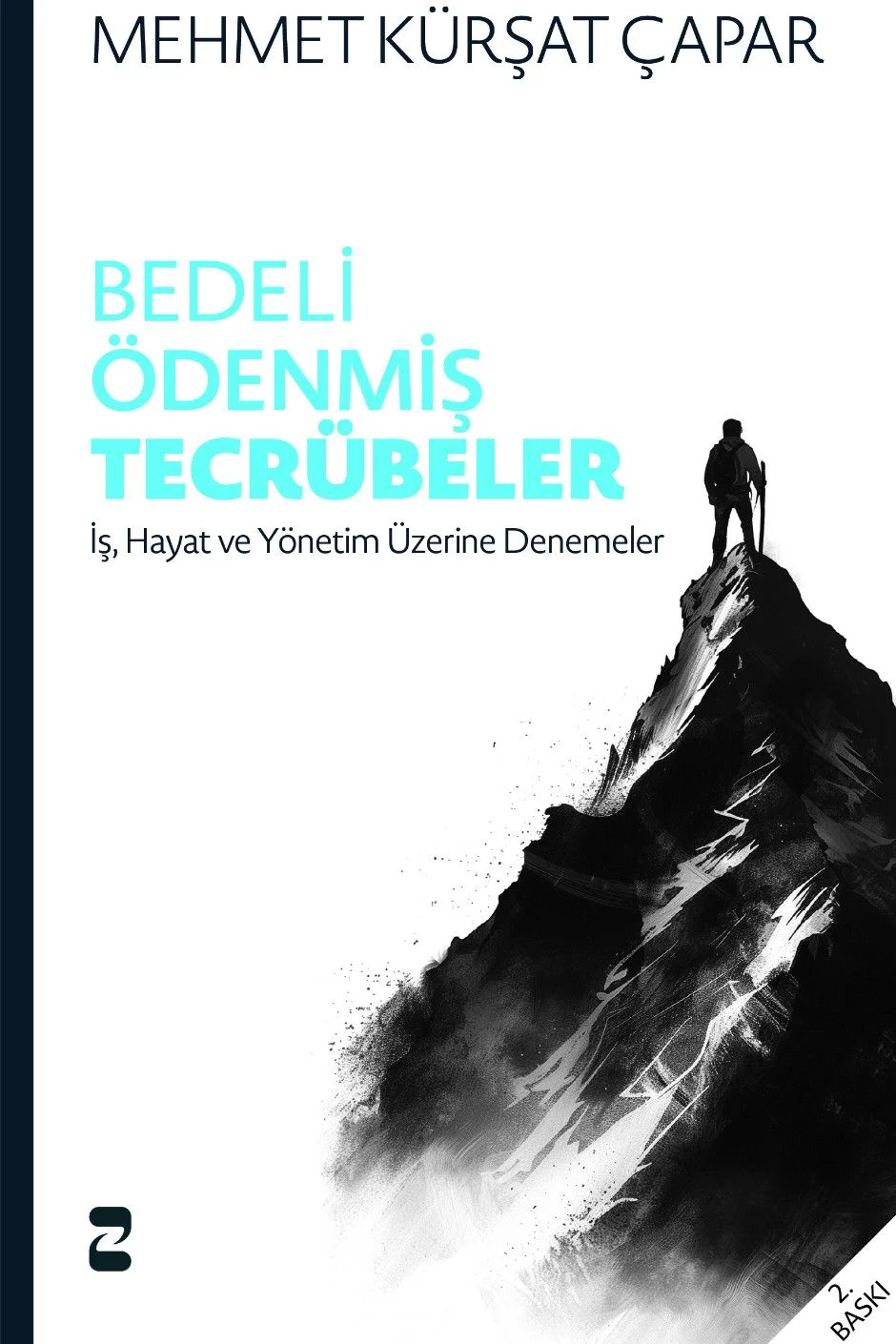 Bedeli Ödenmiş Tecrübeler İş, Hayat ve Yönetim Üzerine Denemeler
