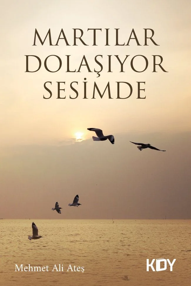 Martılar Dolaşıyor Sesimde