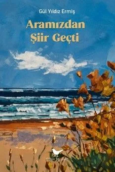 Aramızdan Şiir Geçti