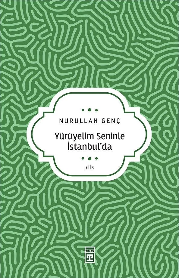 Yürüyelim Seninle İstanbul'da
