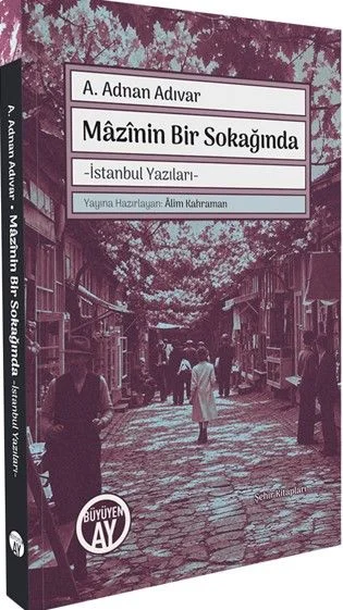 Mazinin Bir Sokağında &amp; İstanbul Yazıları