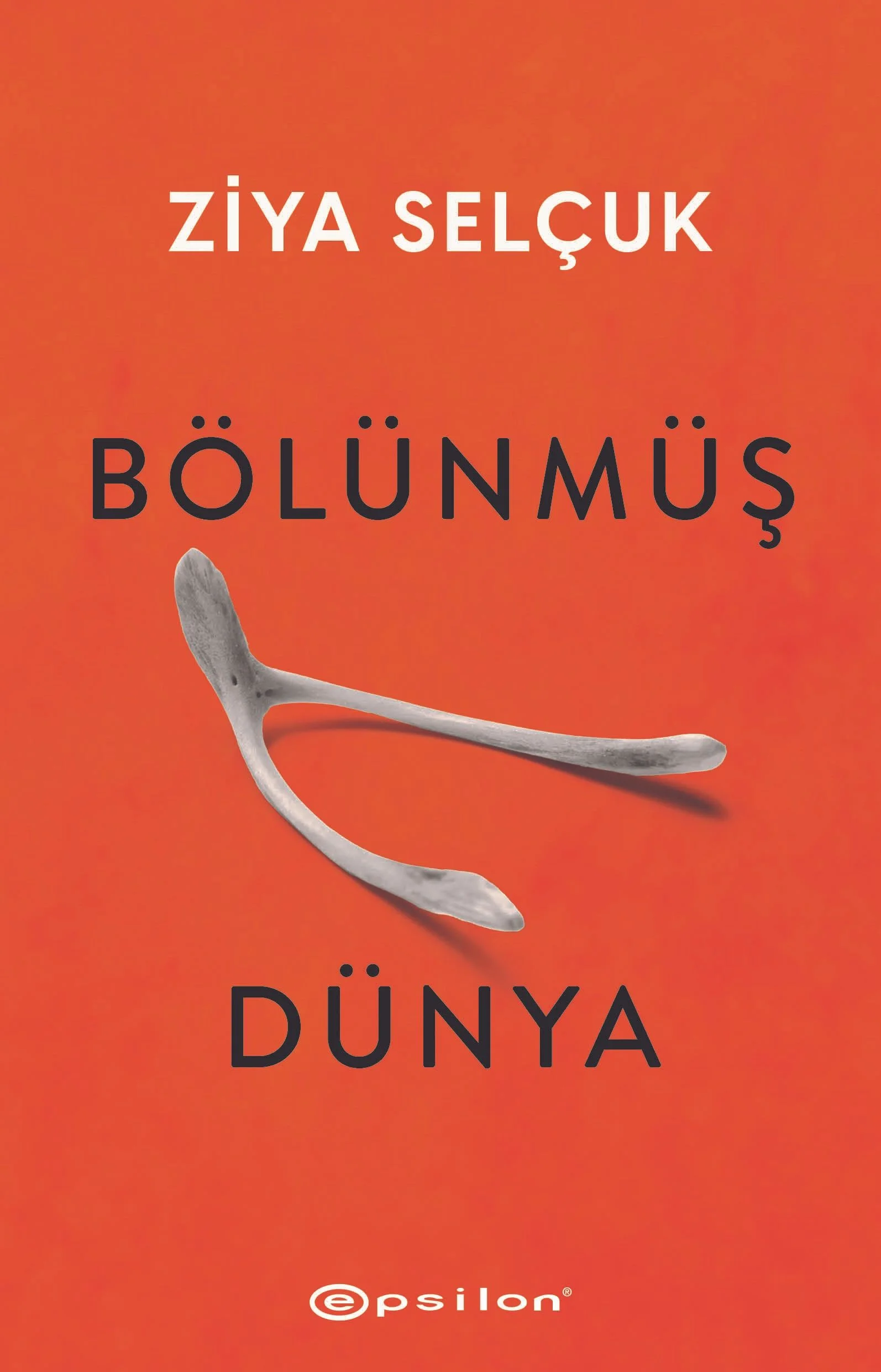Bölünmüş Dünya